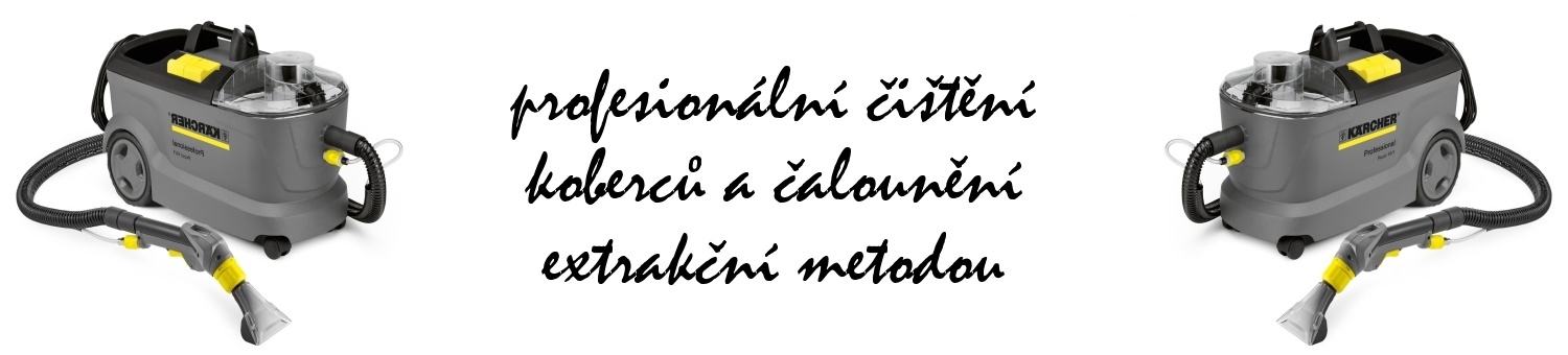 Profesionální čištění koberců a čalounění extrakční metodou